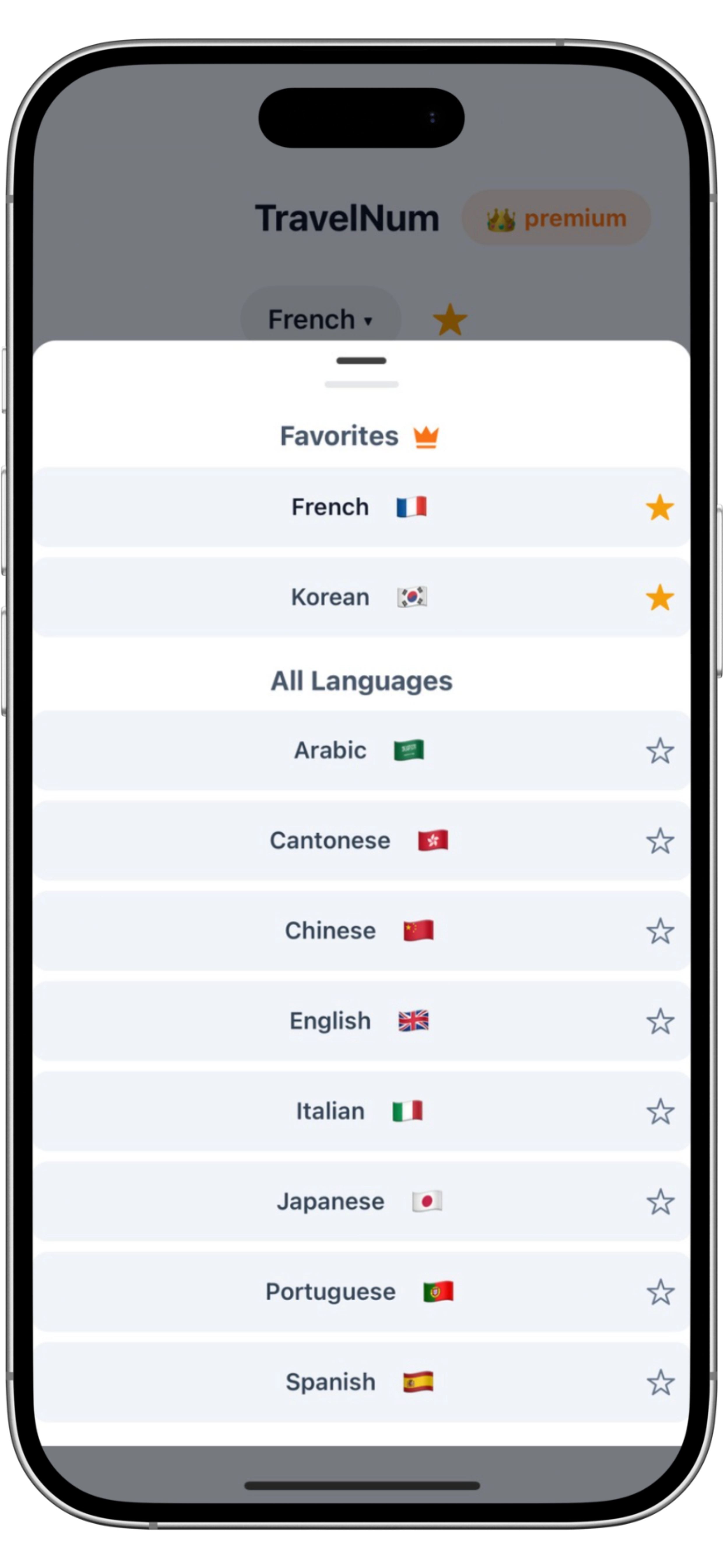 TravelNum app showing number conversion